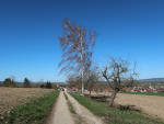 31036 Eime - Feldweg oberhalb der Bergstraße